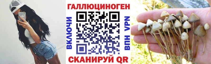 Галлюциногенные грибы GOLDEN TEACHER  Серпухов 